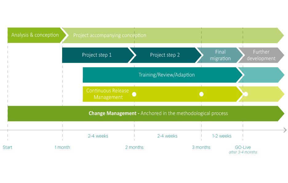 Project roadmap with phases: analysis & conception, project steps, final migration, and further development. Additional levels for training, continuous release, and change management. Timeline until go-live after 3–4 months.
