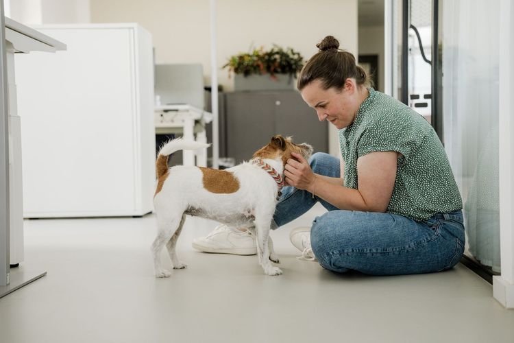 Foto mit Sticky Notes auf einem Board