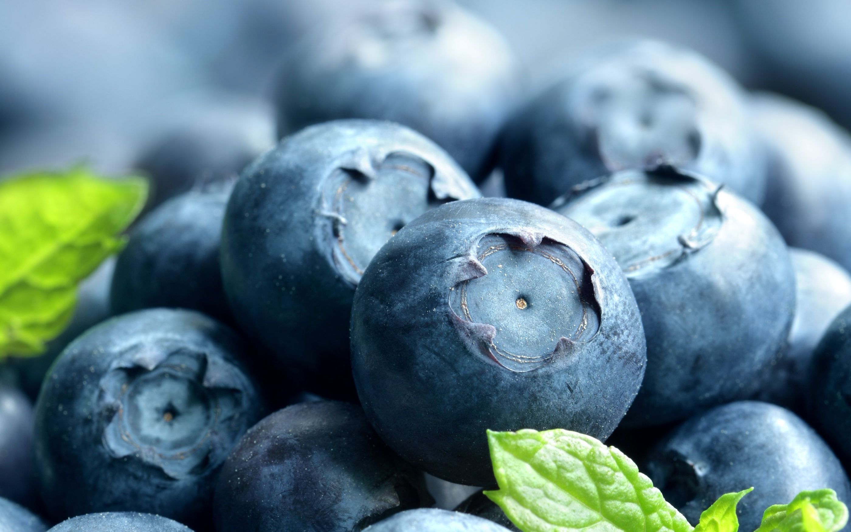 Close-up of fresh blueberries with green leaves, in natural light, focusing on the detailed structure of the berries.
