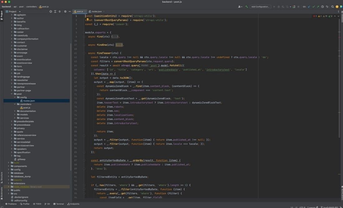 Screenshot from Strapi shows code in the backend