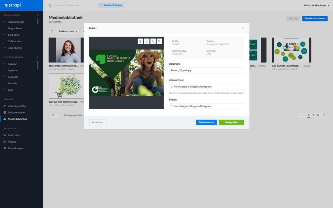 Strapi media library with open image details, including preview, file information, and alternative text